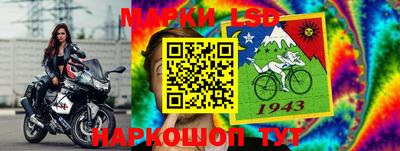 индика Ирбит