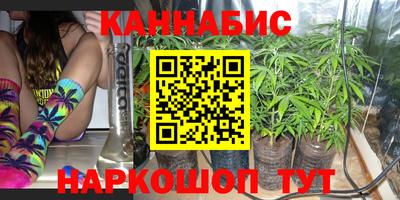 индика Ирбит