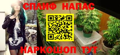 Альфа ПВП Ипатово