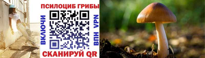 Псилоцибиновые грибы мухоморы  hydra маркетплейс  Рассказово 