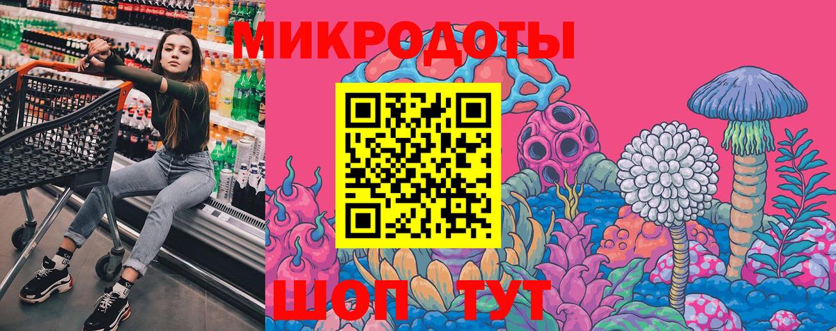Рассказово  Псилоцибиновые грибы Psilocybe  Вход с VPN  Псилоцибиновые грибы ЛСД 