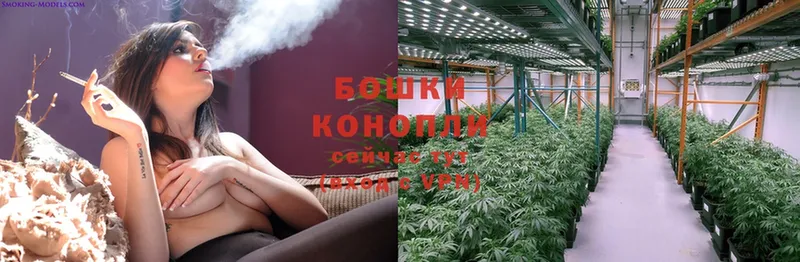 Бошки Шишки THC 21%  Рассказово 